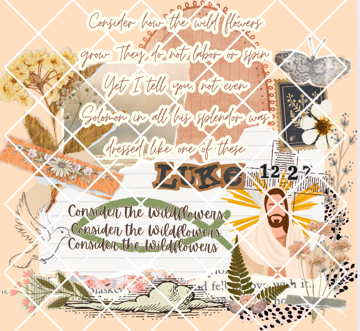 Consider the wildflowers PNG