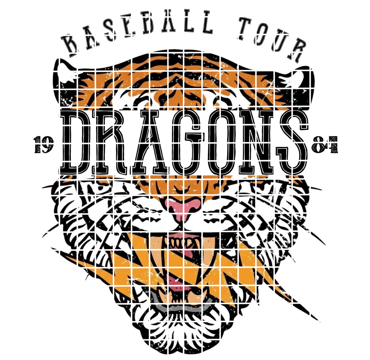 BBALL TOUR / DRAGONS