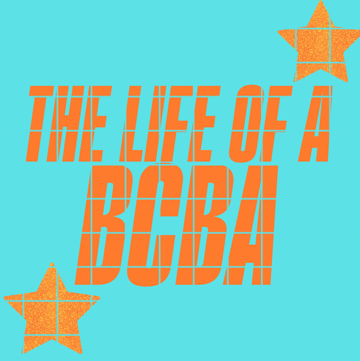 The life of a BCBA