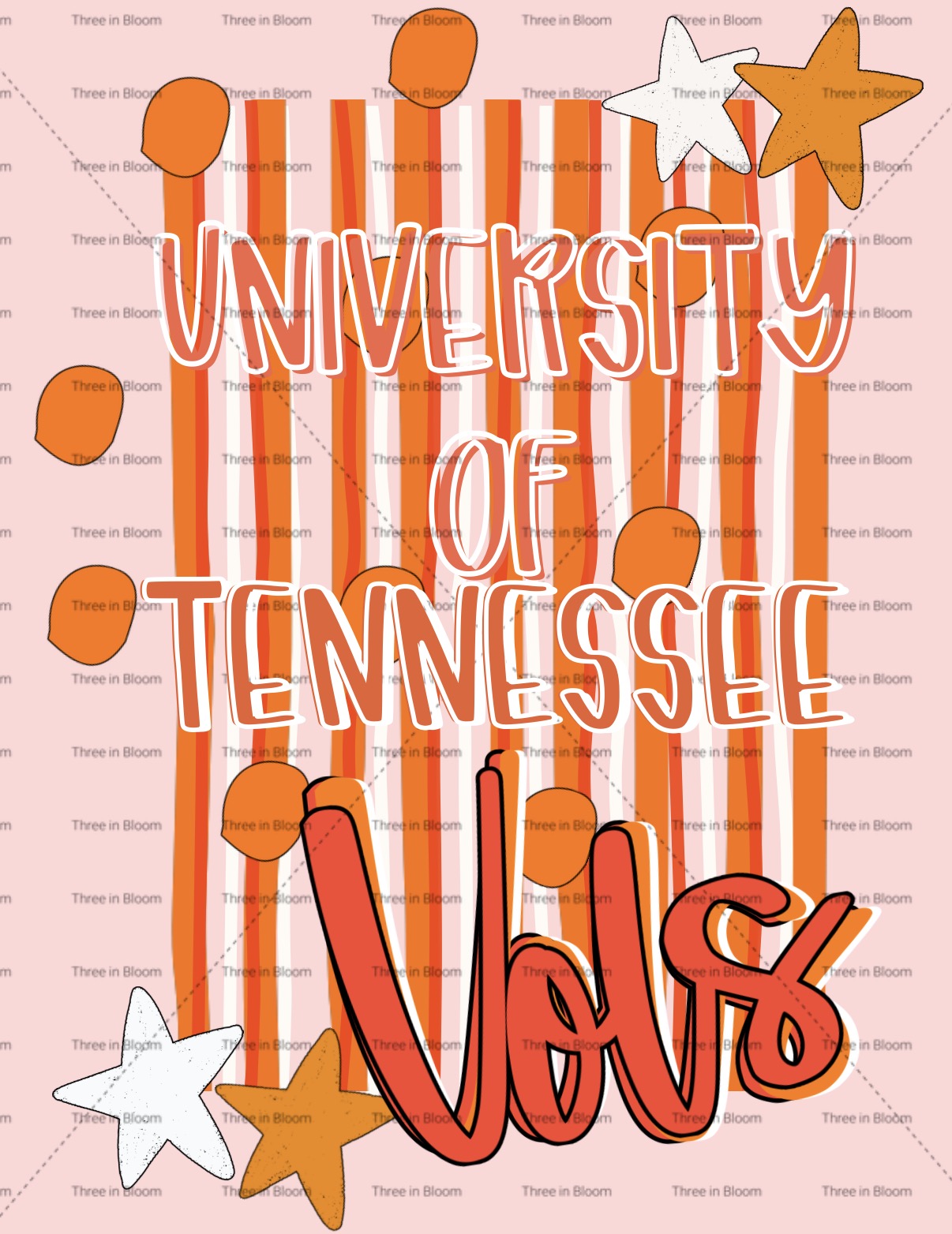 T N V O L S PNG