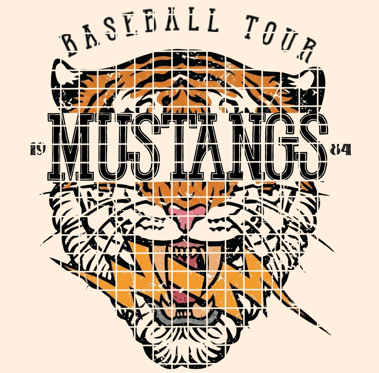 BBALL TOUR / Mustangs