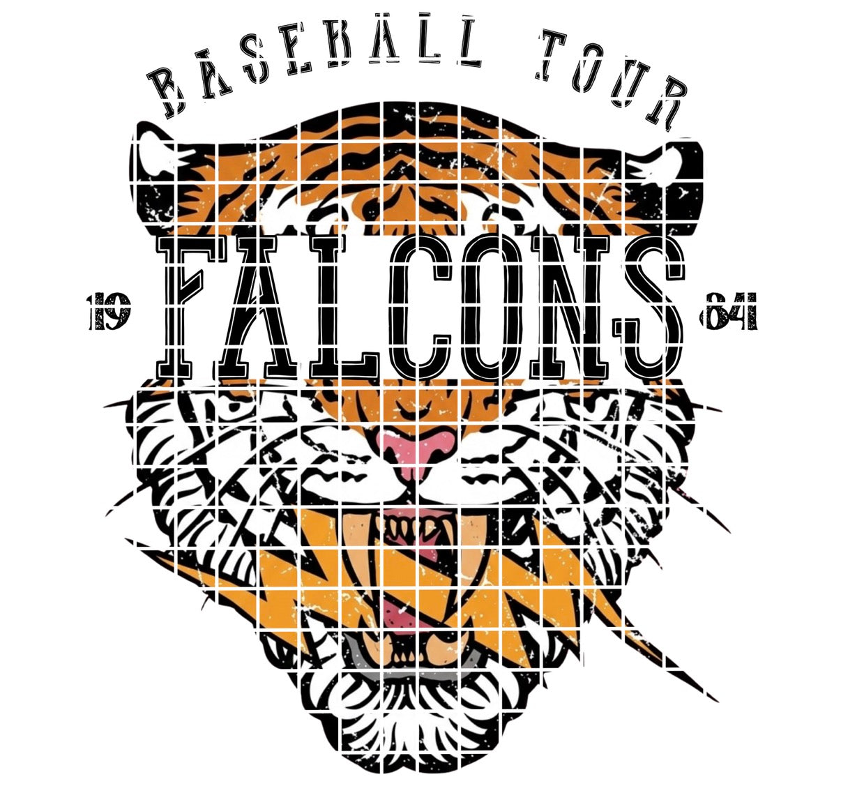 BBALL TOUR / Falcons