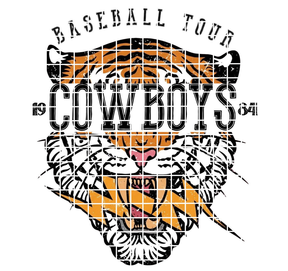 BBALL TOUR / Cowboys