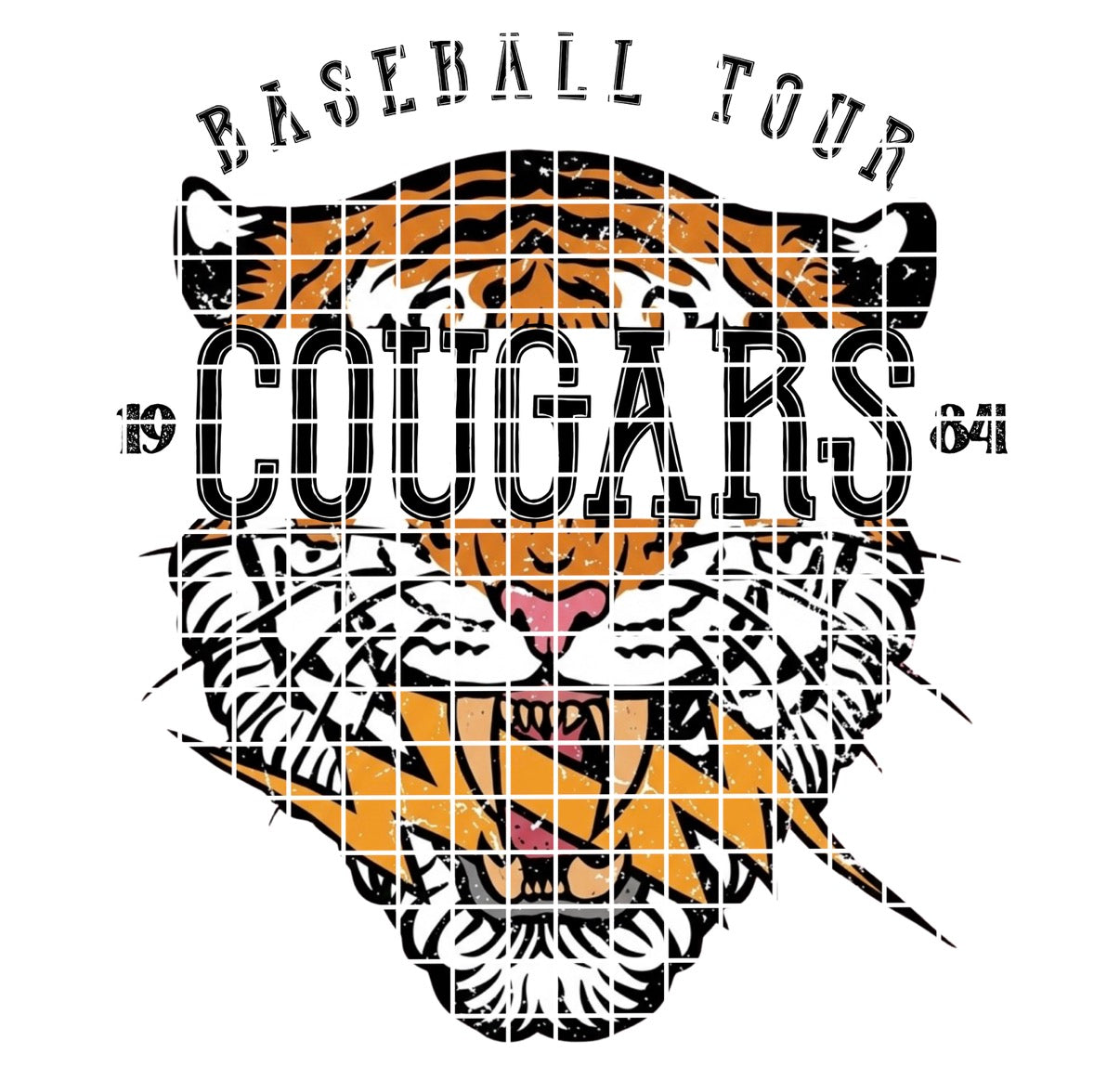 BBALL TOUR / COUGARS