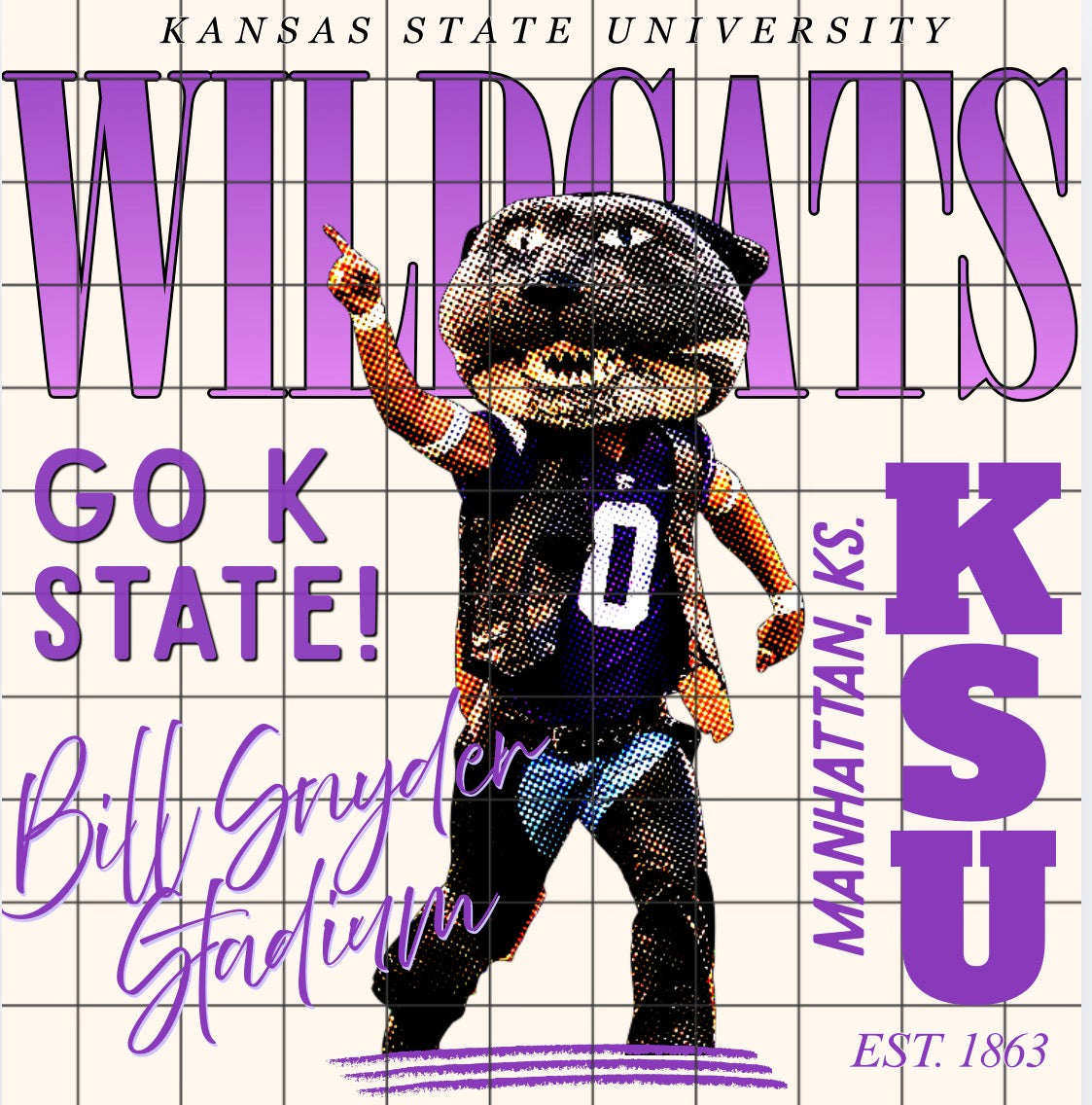 Wildcats color pop png