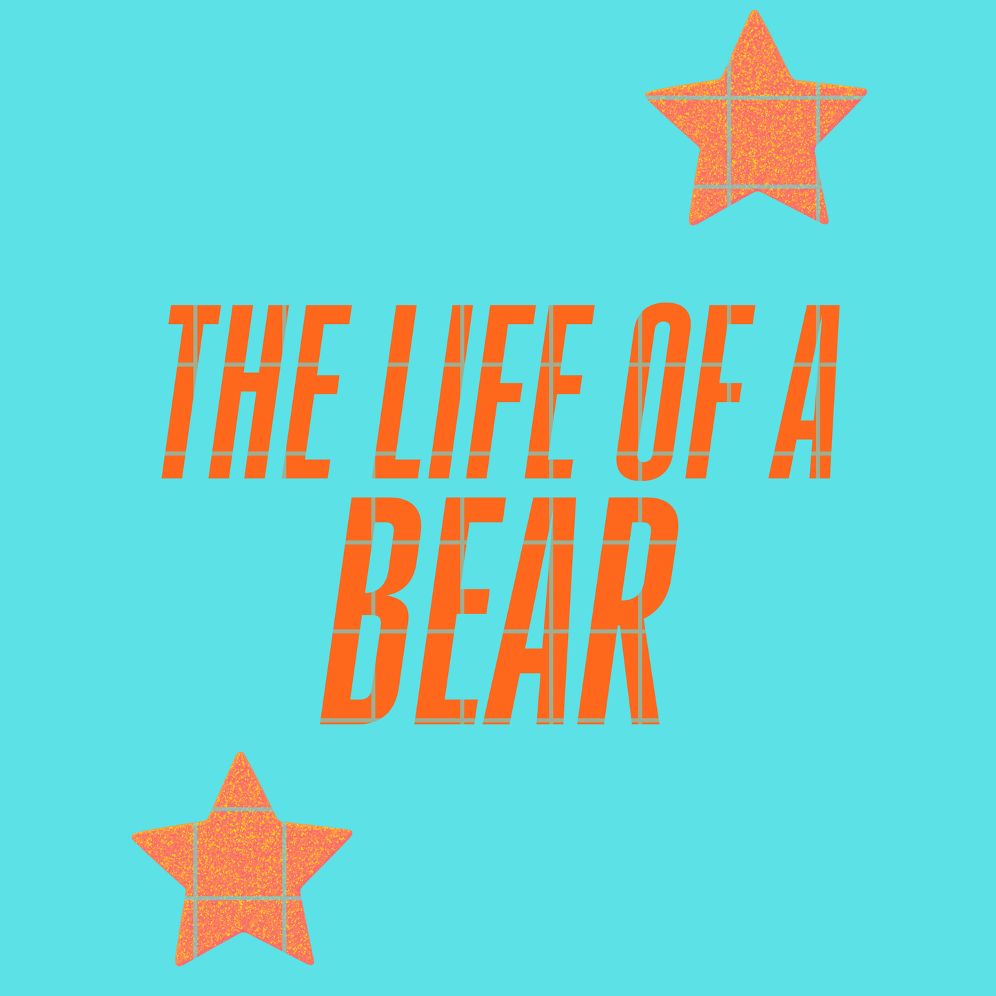 The life of a Bear