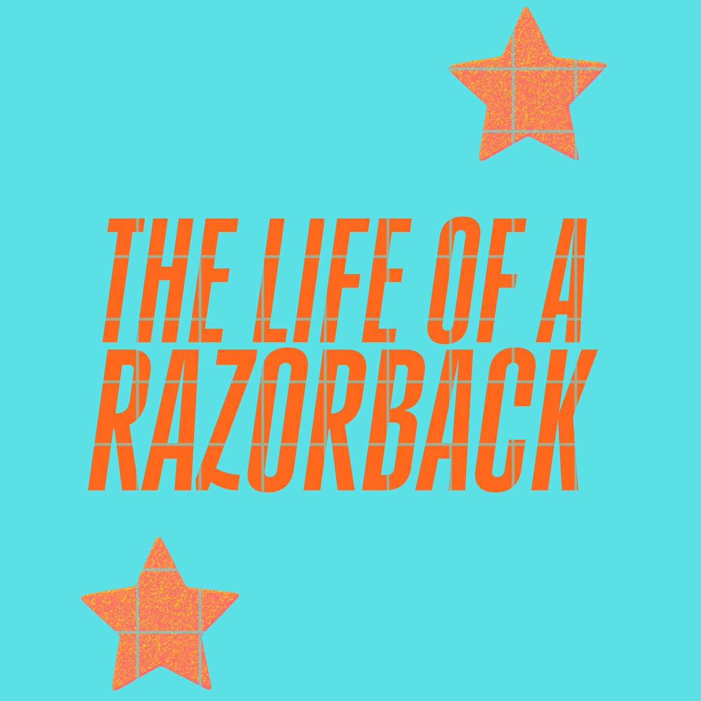 The life of a Razorback