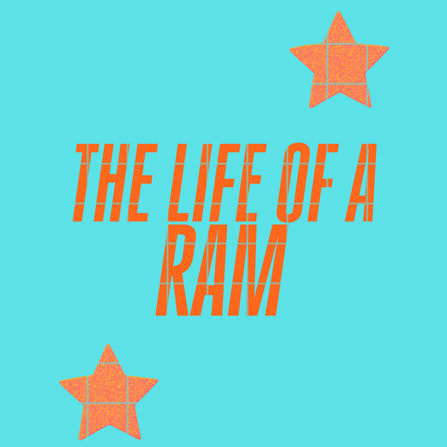 The life of a Ram