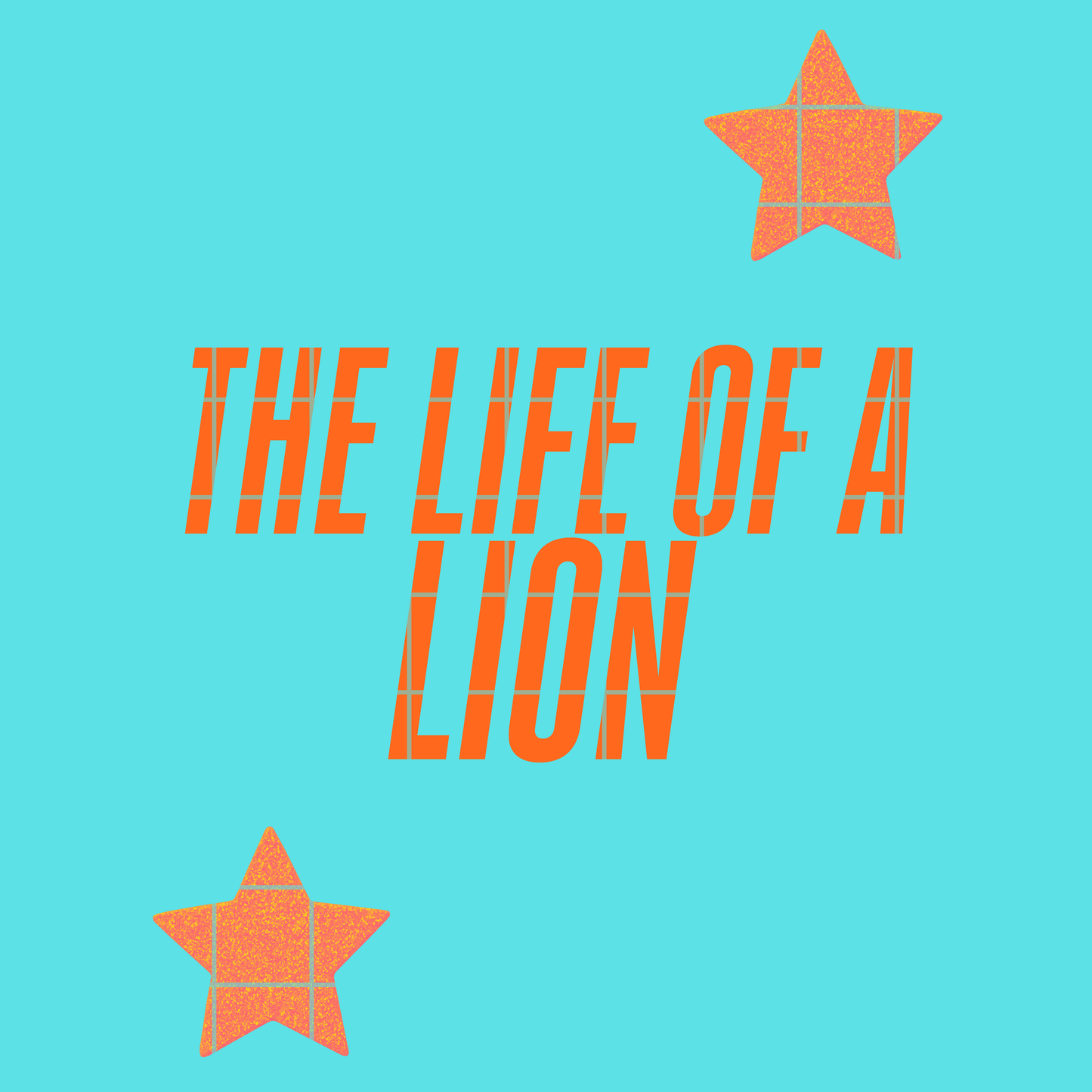 The life of a Lion