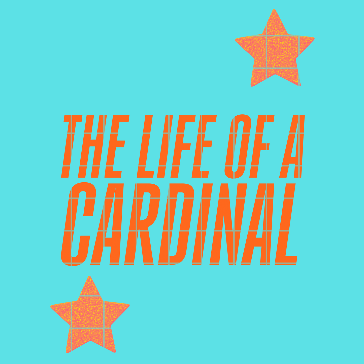 The life of a Cardinal