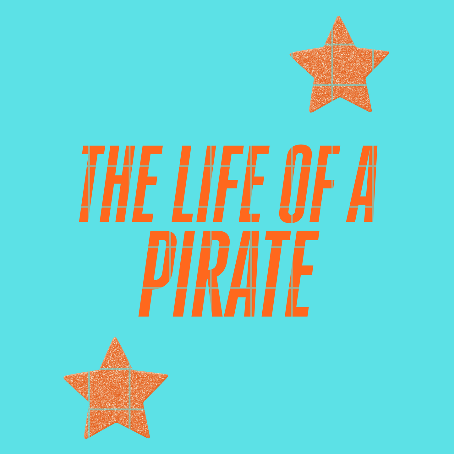 The life of a pirate