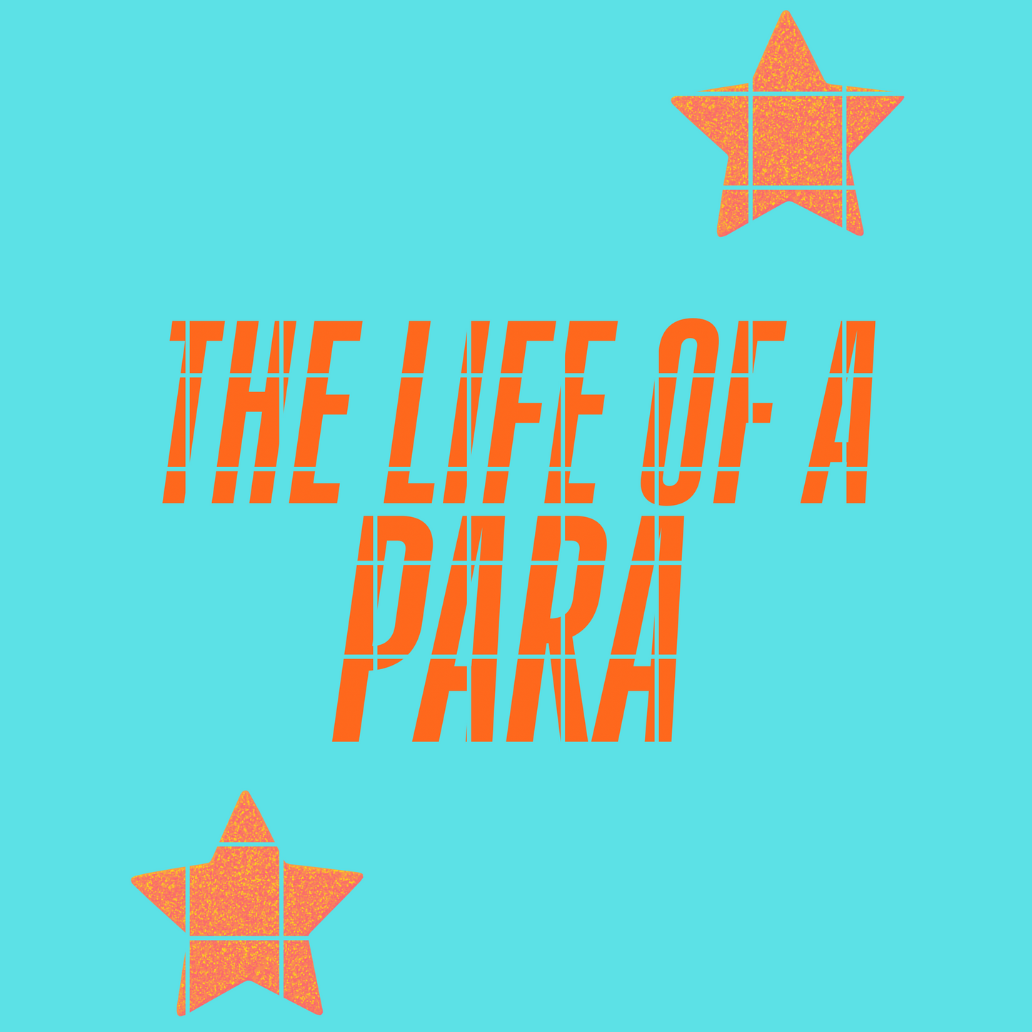 The life of a Para