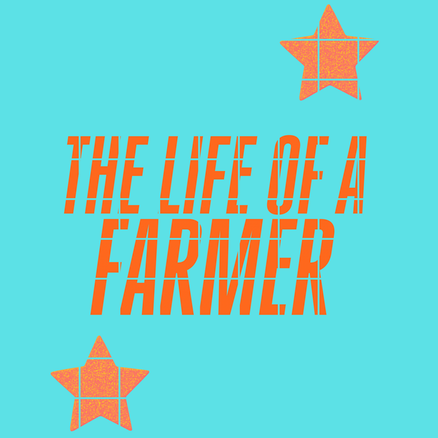 The life of a Farmer