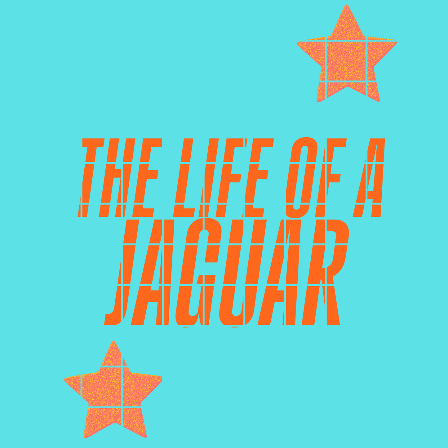 The life of a Jaguar