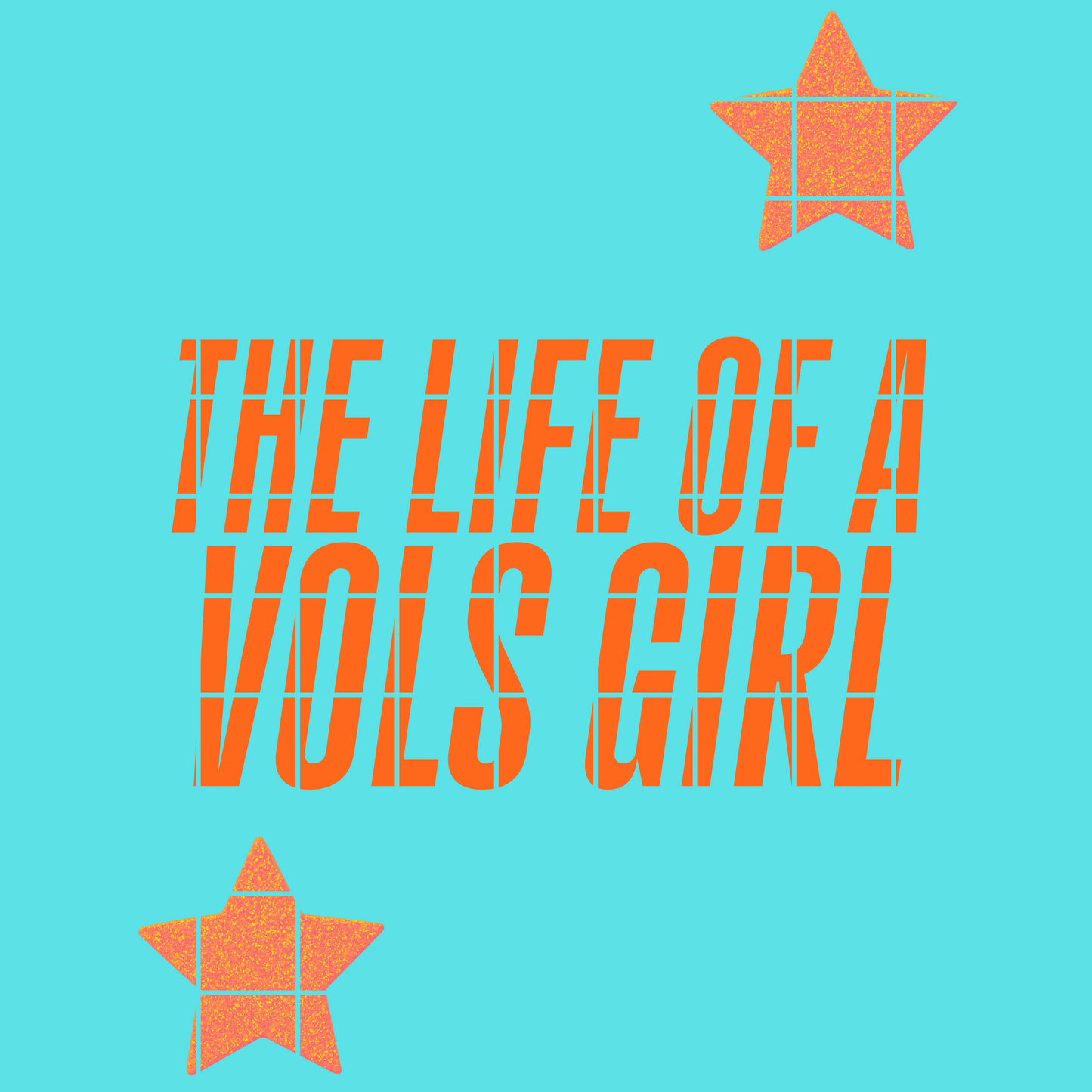 The life of a v o l girl