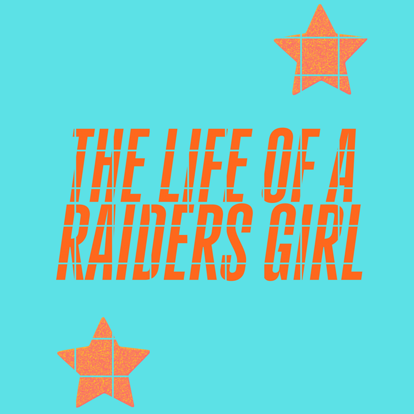The life of a R a i d. Girl
