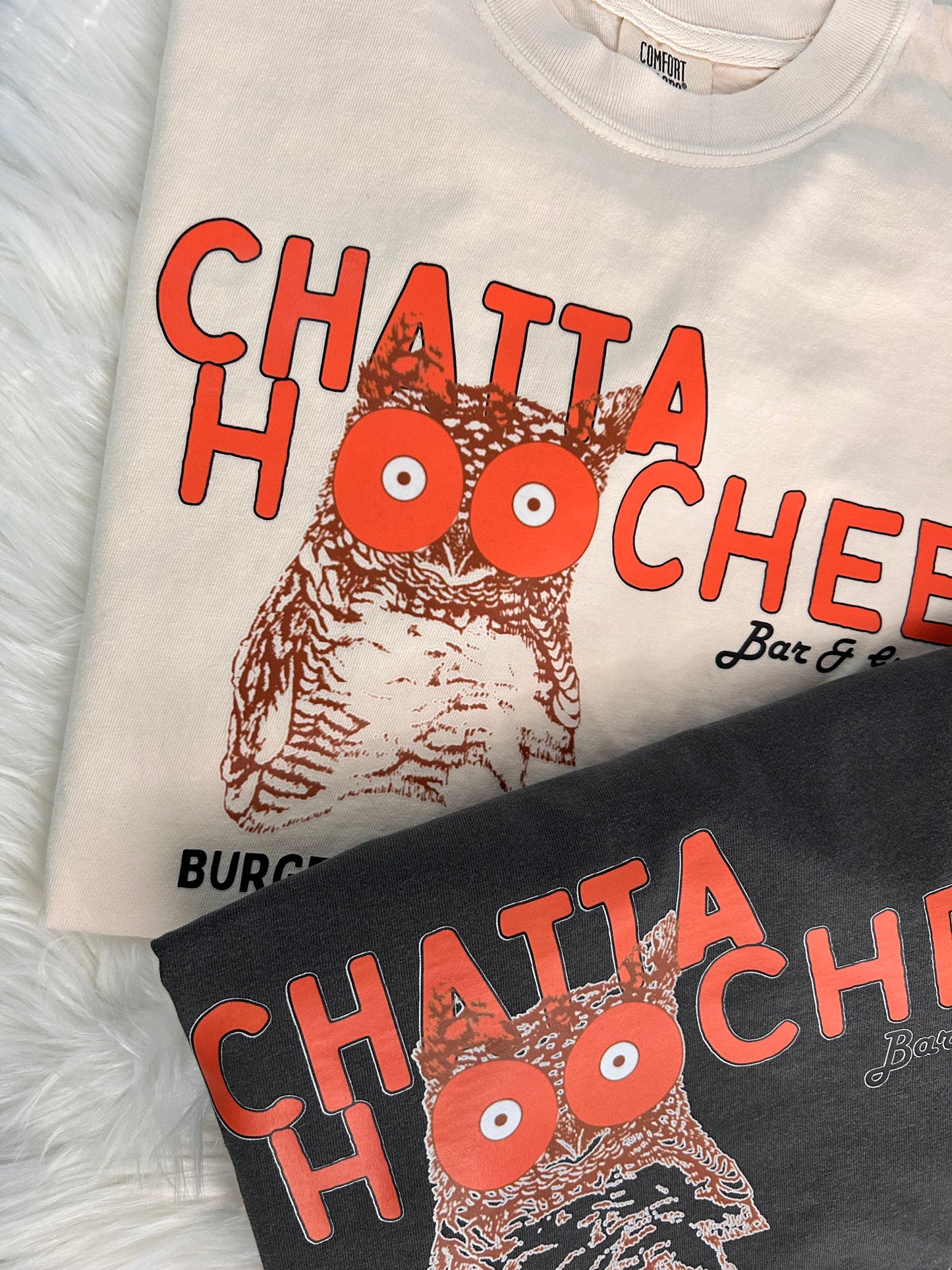 Chatta Hoochee Hoot Owl