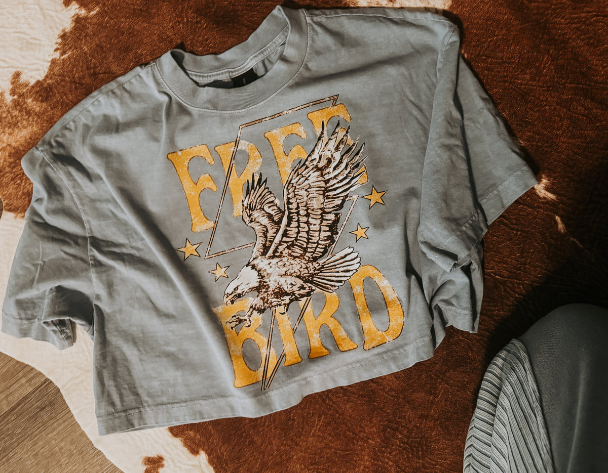 Free Bird PNG