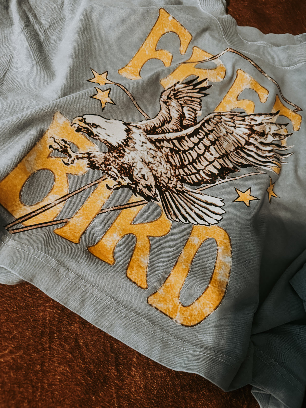 Free Bird PNG