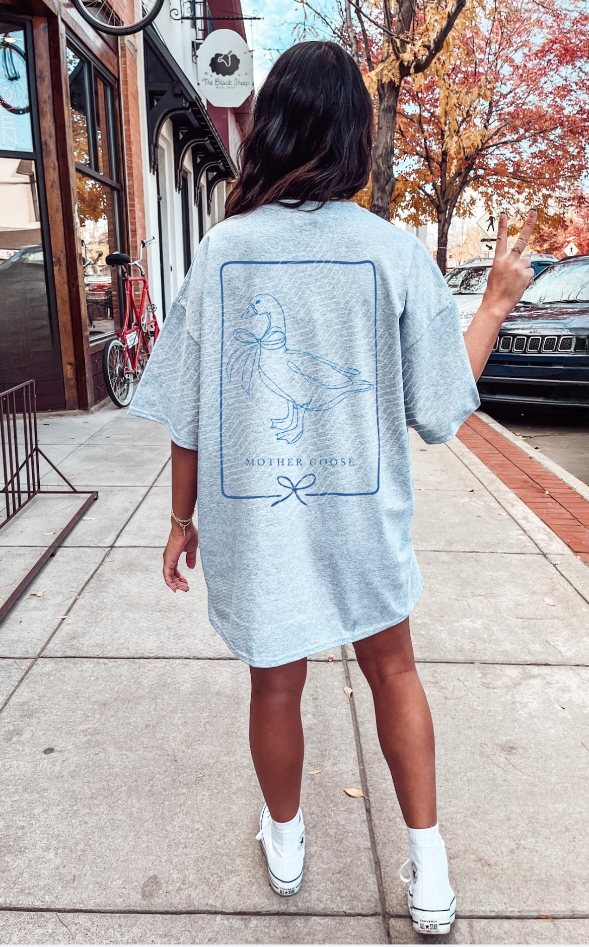 Vintage Mother Goose PNG