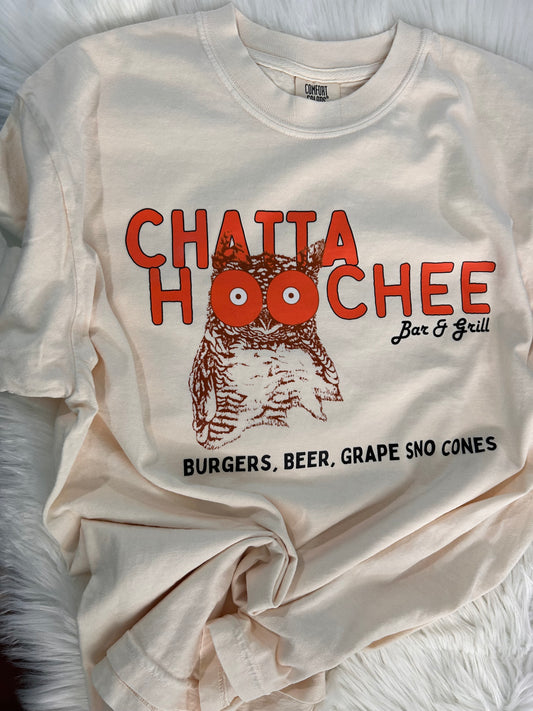 Chatta Hoochee Hoot Owl