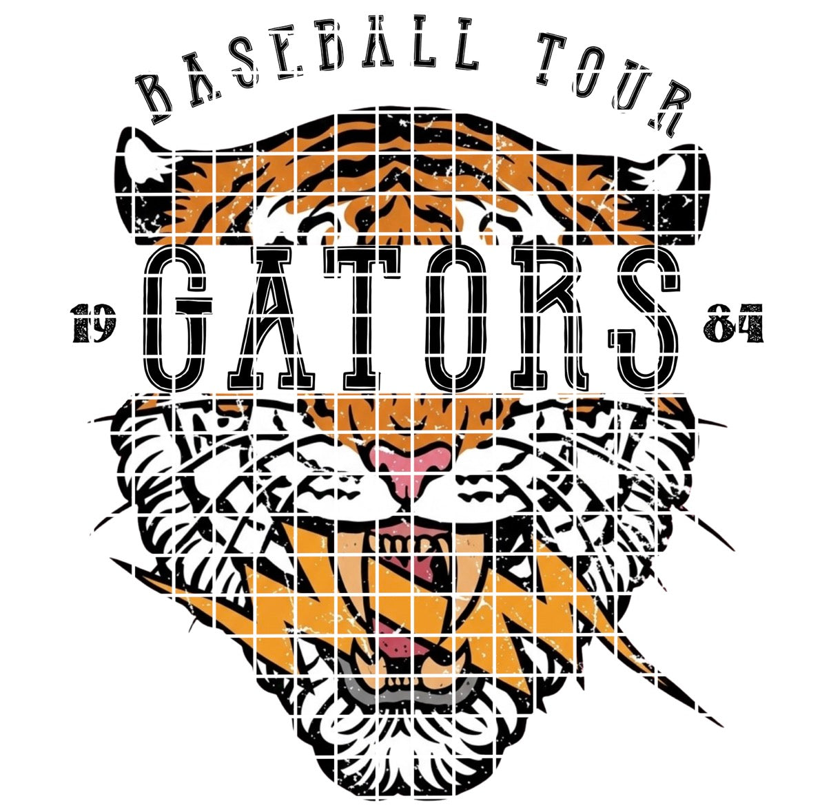 BBALL TOUR / Gators