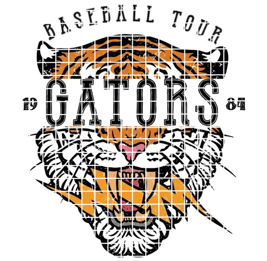 BBALL TOUR / Gators