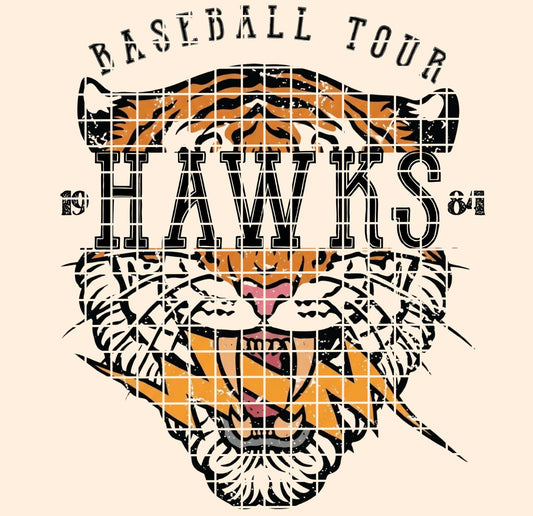 BBALL TOUR / Hawks