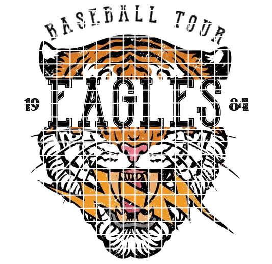 BBALL TOUR / EAGLES
