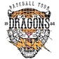 BBALL TOUR / DRAGONS