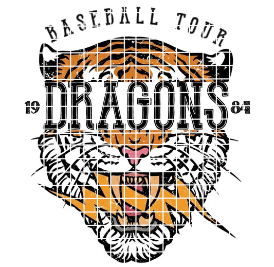 BBALL TOUR / DRAGONS