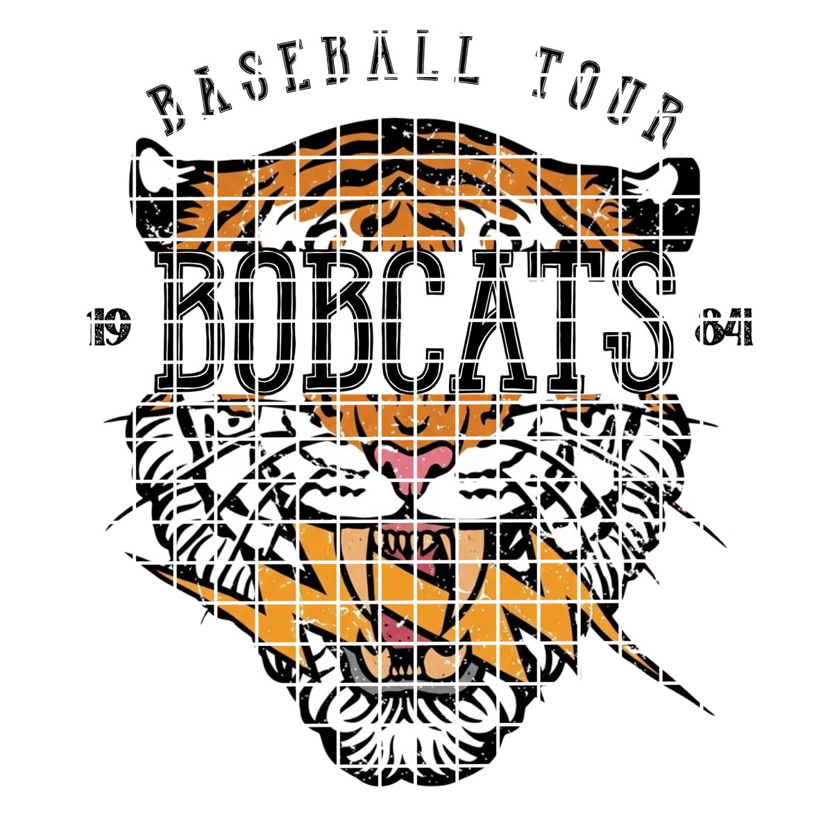 BBALL TOUR / Bobcats