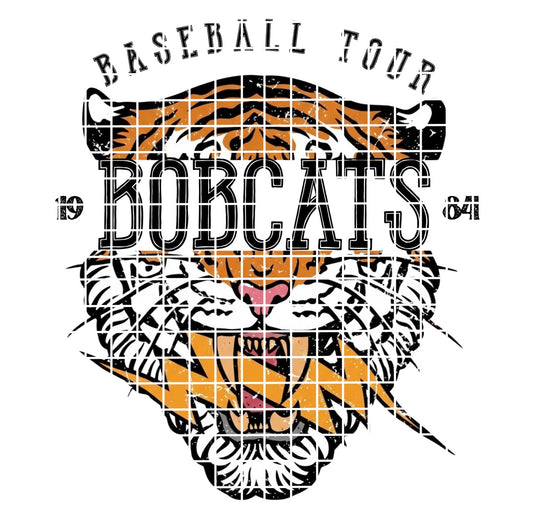 BBALL TOUR / Bobcats