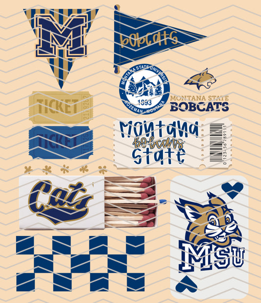 MSU CATS Matchbox Collage