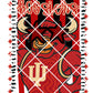 Mascot doodle Hoosier