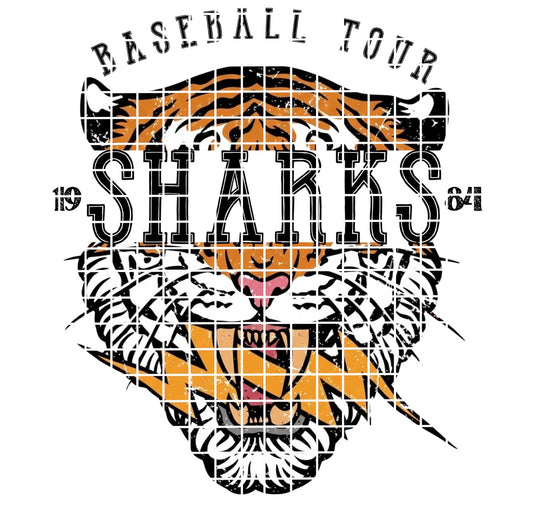BBALL TOUR/ Sharks