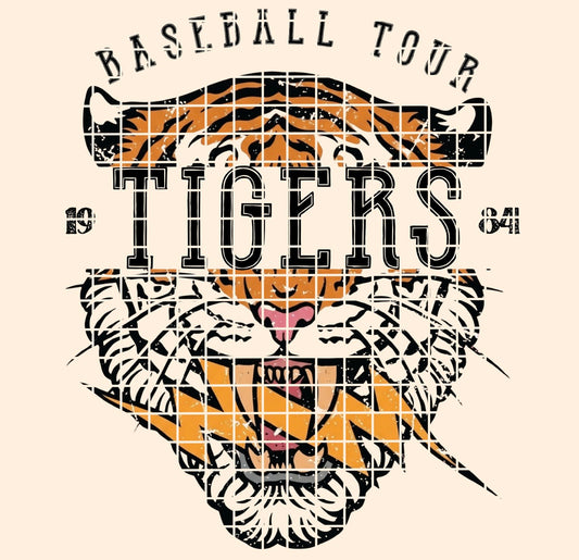 BBALL TOUR / Tigers