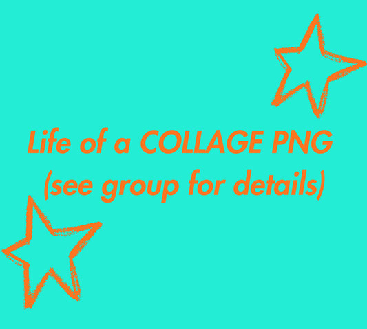 Life of COLLAGE PNG