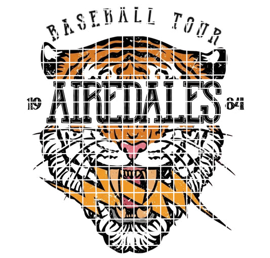 BBALL TOUR/ Airedales