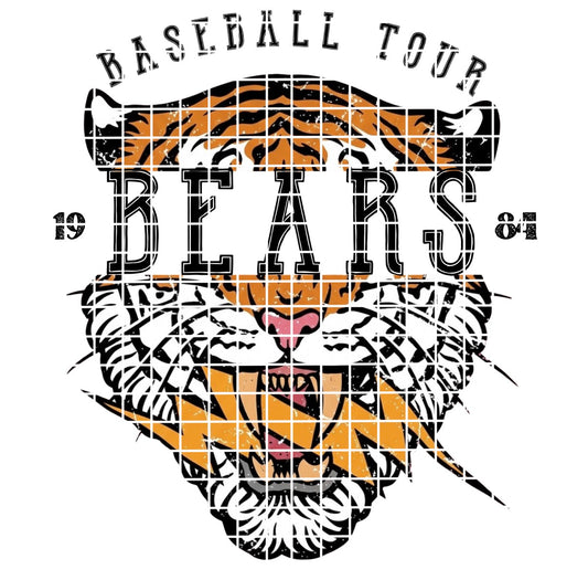 BBALL TOUR / BEARS