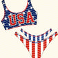 USA Stars and Stripes bikini set PNG