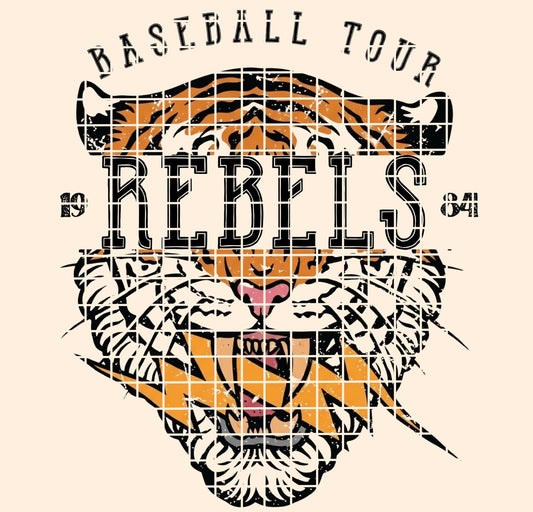 BBALL TOUR / REBELS