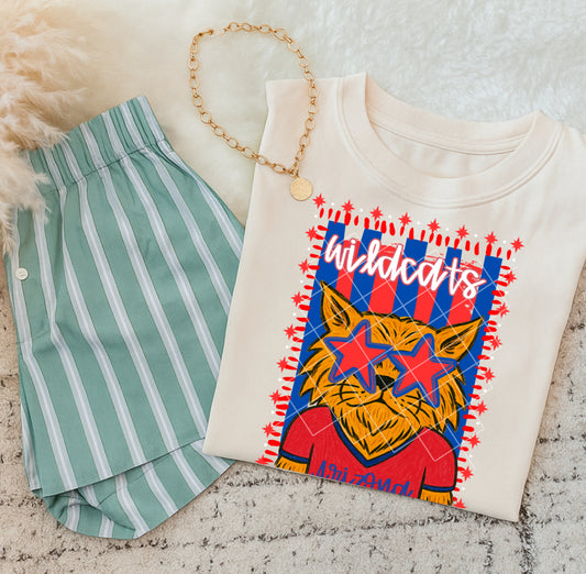 Mascot doodle AZ wildcats