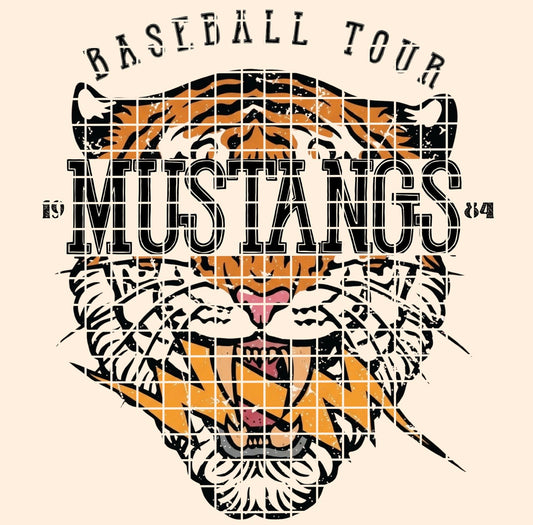 BBALL TOUR / Mustangs