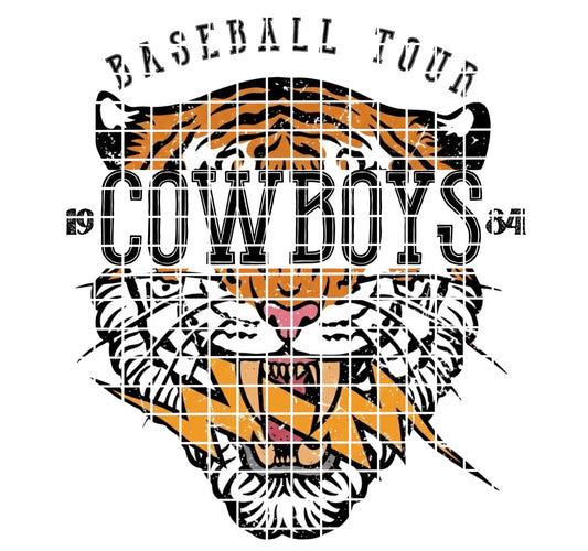 BBALL TOUR / Cowboys