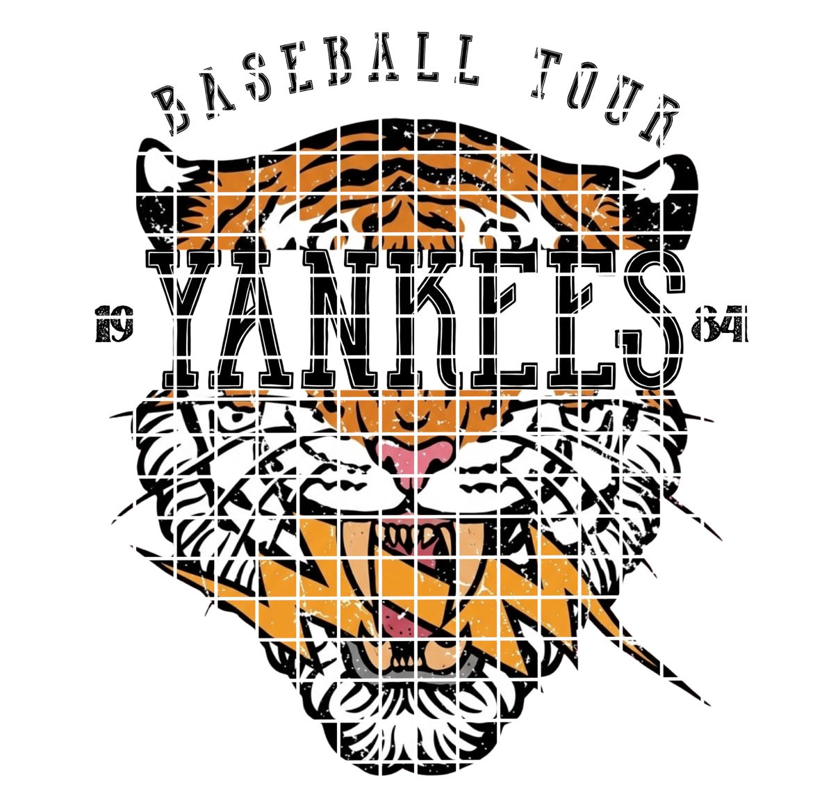 BBALL TOUR / YANKEE