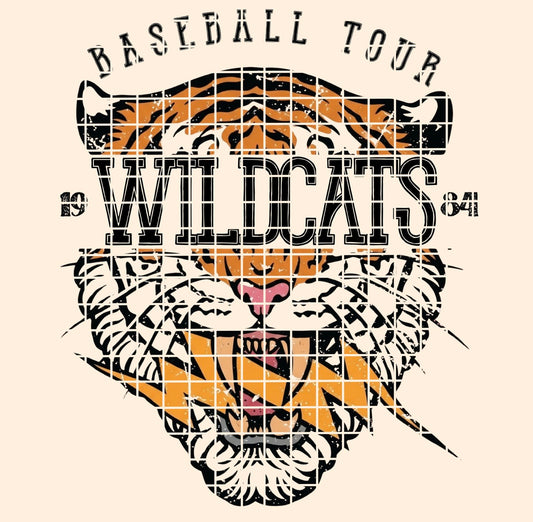 BBALL TOUR / WILDCATS