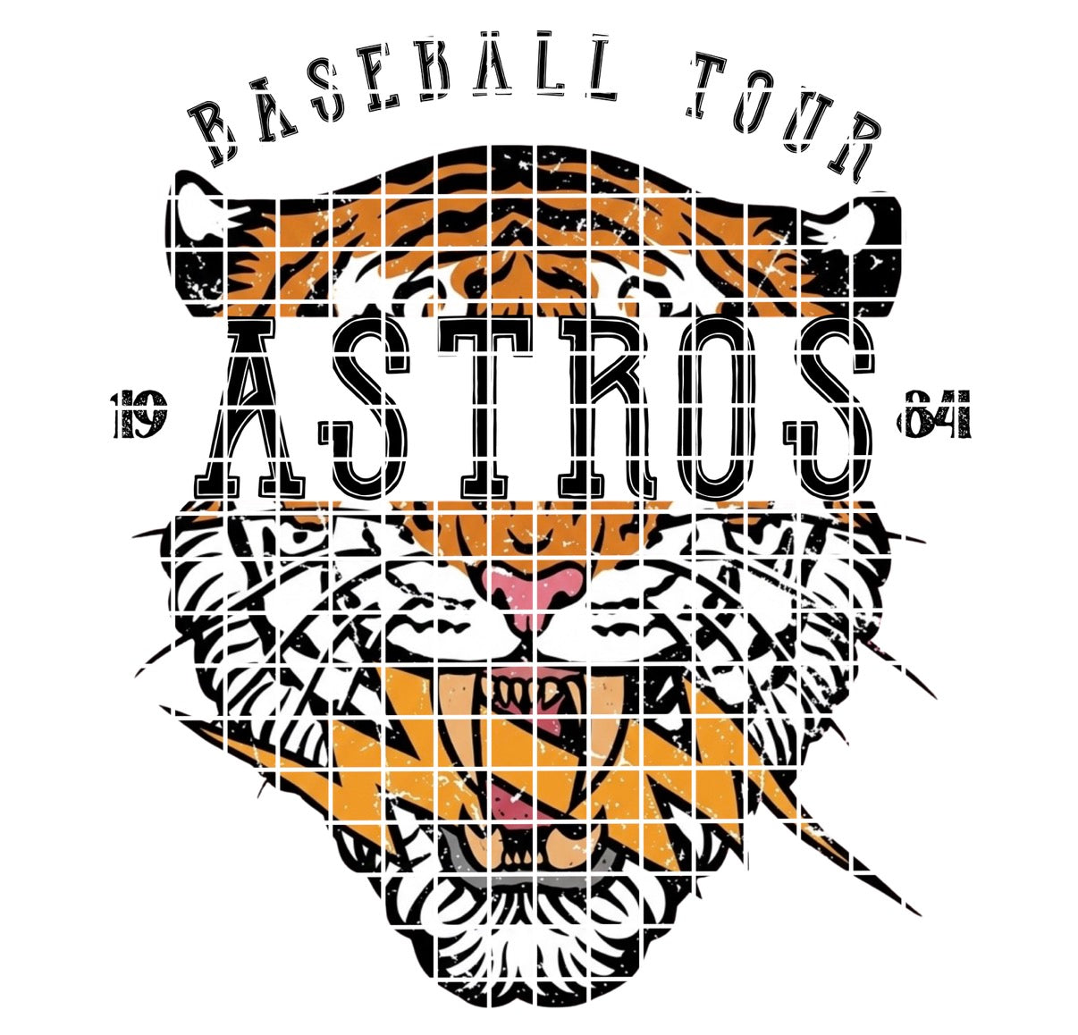 BBALL TOUR / Astros