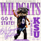Wildcats color pop png