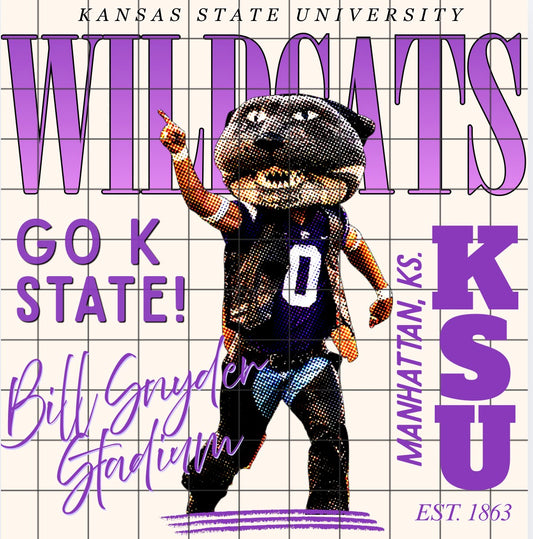Wildcats color pop png